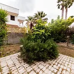 Conchiglia D'oro