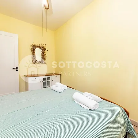 Conchiglia D'oro