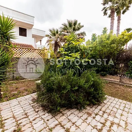 Conchiglia D'oro Torre dell'Orso