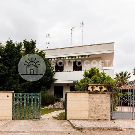 Conchiglia D'oro Daire *